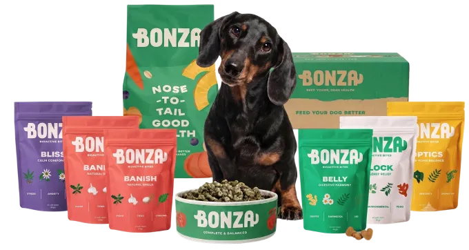 A dachshund sitting among the Bonza food bag and Supplements pouches