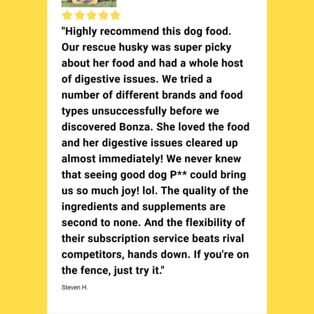 La mejor comida, hierbas y suplementos veganos para el estómago y los problemas digestivos de los perros Opinión del cliente