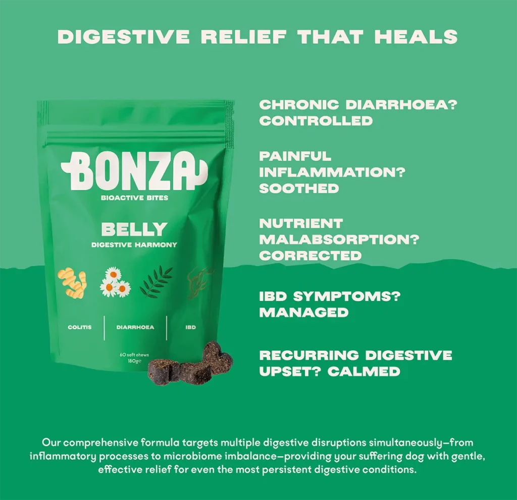 Bonza Belly supplementen Spijsverteringssupplement voor honden IBD Colitis IBS Diarree en Gastritis Effectieve verlichting