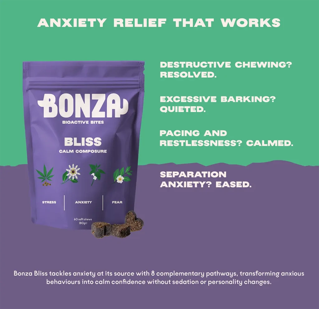 Bonza Bliss Nahrungsergänzungsmittel Beruhigungsmittel für Hunde Stress Angst Reduziert Kauen Bellen und Unruhe