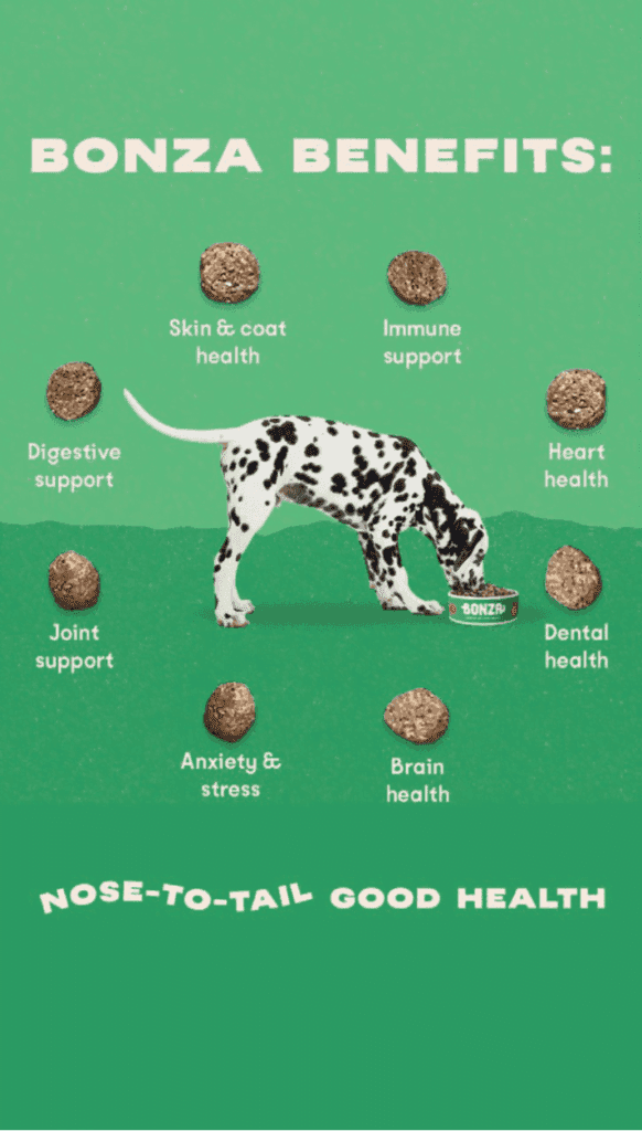 Bonza Veganes Vegetarisches Hundefutter auf Pflanzenbasis Vorteile für die Hundegesundheit