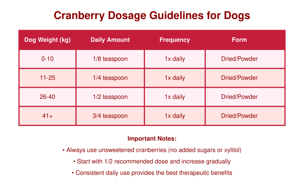 Dosage de la canneberge pour les chiens Avantages pour la santé