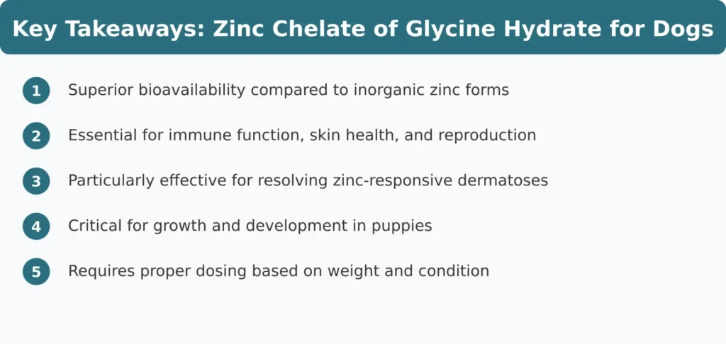 Quelato de zinc de hidrato de glicina para perros - Aspectos clave