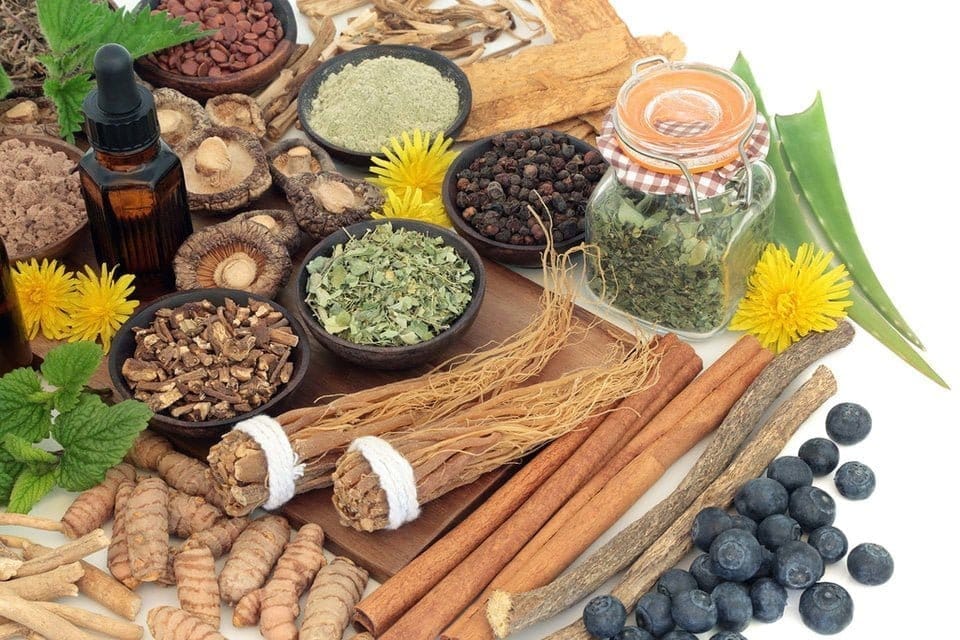 Adaptogens for Dogs: The Strict-Definition Guide to Adaptogenic Herbs for Stress, Resilience, and Healthy Ageing