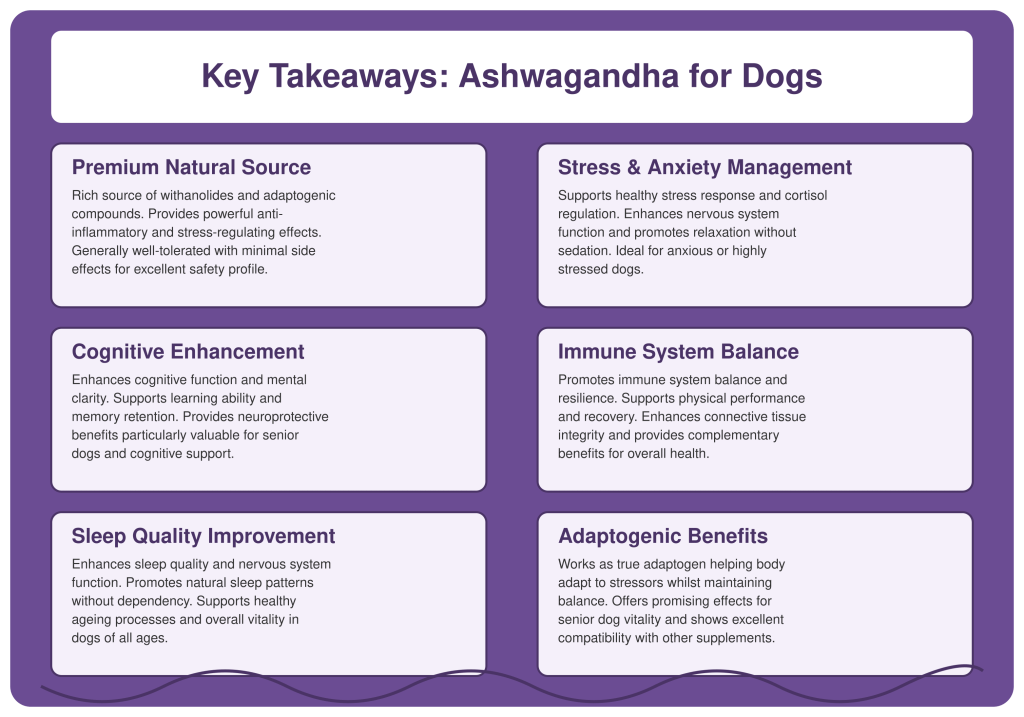 Ashwagandha for Dogs - Discover its Impact on Health Key Takeaways