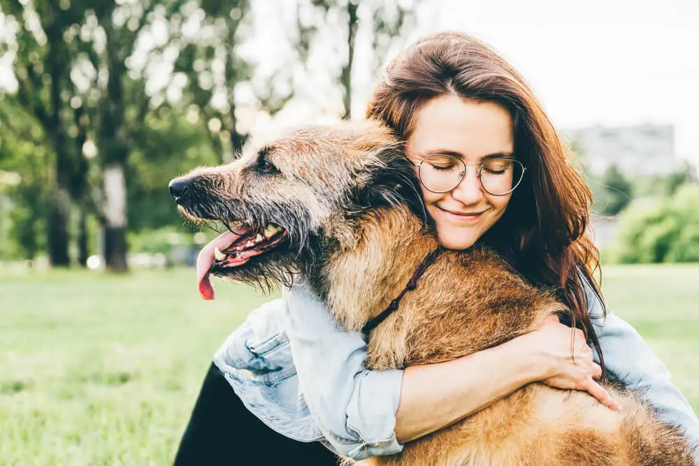 Best Anti-Inflammatory Foods for Dogs with Arthritis Old Dog UK