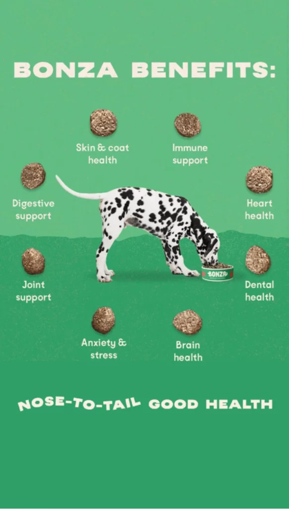 La mejor comida vegana, vegetariana y antiinflamatoria para perros