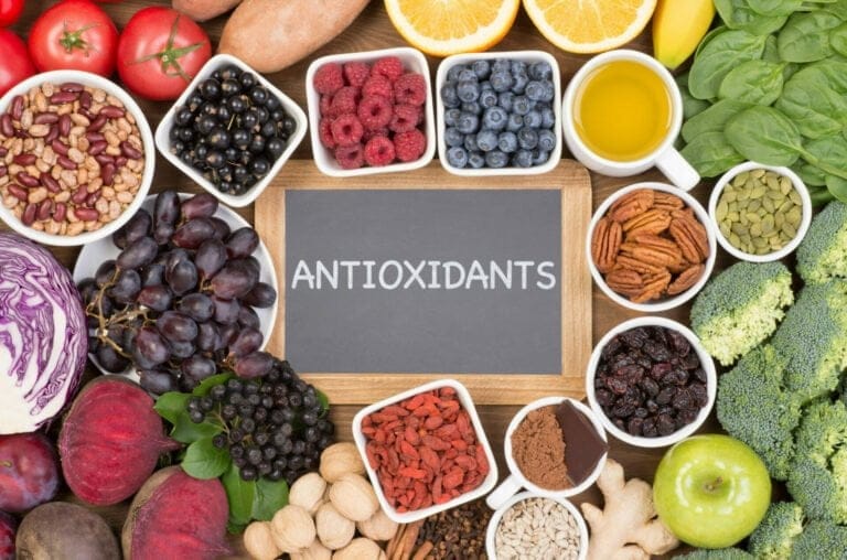 Best Antioxidants for Dogs Comprehensive Guide to Antioxidant Foods, Herbs, Spices and Adaptogens with Antioxidant Properties