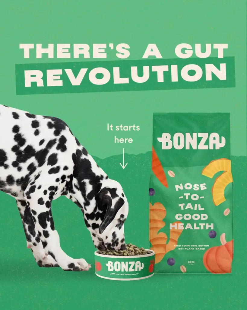 Best Foods for Dogs with Diarrhoea, Vomiting and Improved Gut Health