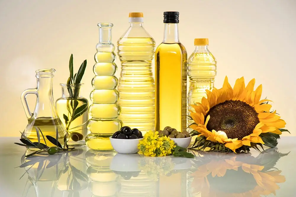 Best Omega-3 Oils for Dog's Health