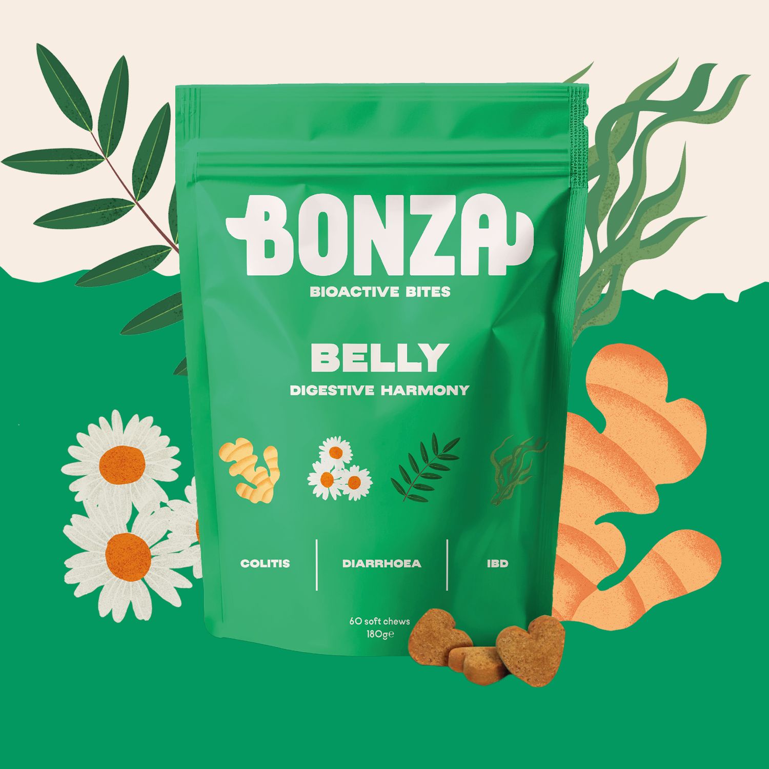 Best Gut Health Supplement for Dogs in 2026: A Canine Nutritionist’s Comparative Evaluation
