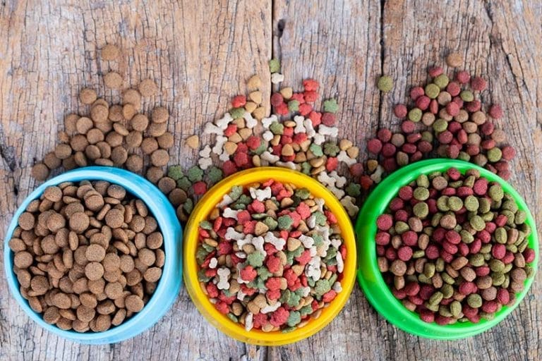 Best Vegan Dog Food UK: Every Brand Compared by a Canine Nutritionist