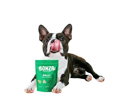 Bonza suplementos Belly Suplemento Funcional Natural Golosinas para Problemas Digestivos del Perro EII Colitis Gastritis Diarrea y Problemas Gastrointestinales