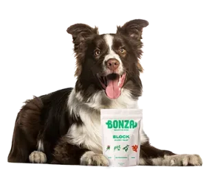 Bonza Bloque Bioactivo Mordeduras Mejor Suplemento para el Picor Canino Tratamiento y Alivio Natural