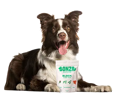 Bonza Mordeduras Bioactivas Bloque Natural Funcional Quercetina Suplemento Antihistamínico Golosinas para Alergias Caninas - Piel, Alimentación, Pulgas y Estacionales