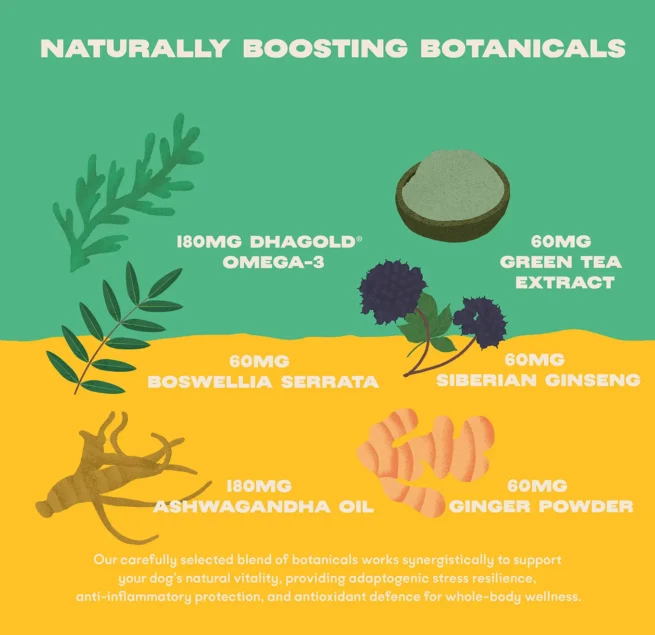 Bonza Boost Vitamins-Minerals Herbs Adaptogen Supplements for Senior Dog Health
