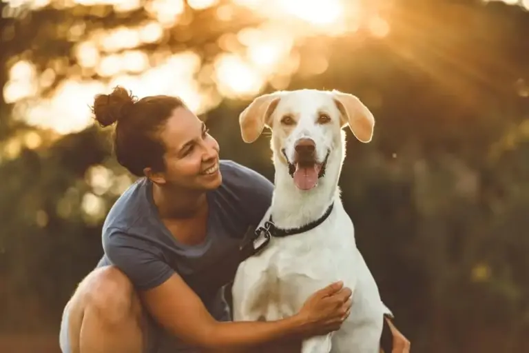 Bonza Good Dog Day How to Establish a Balanced Routine