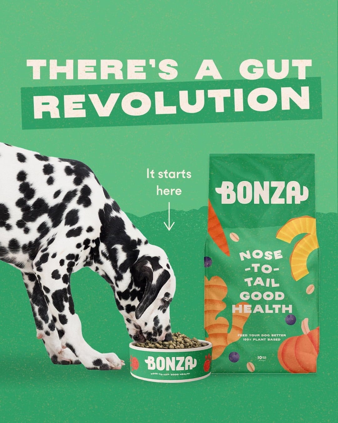 From Swanson to Castillo-Fernandez. Twenty Years of Canine Nutrigenomics and Why it Matters for the Food in Your Dog’s Bowl.