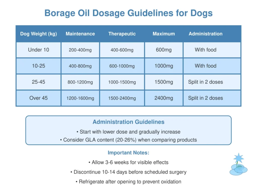 Huile de bourrache pour chiens : conseils de dosage