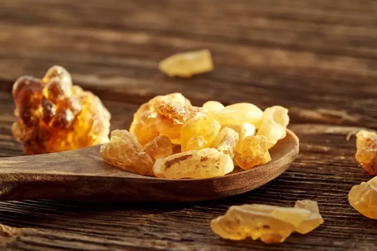 Boswellia Serrata for Dogs: Positive Health Impacts