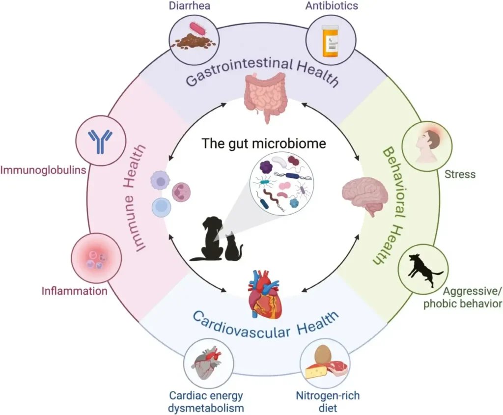 Canine Gut Microbiome Glossary: Key Terms Explained for Dog Owners