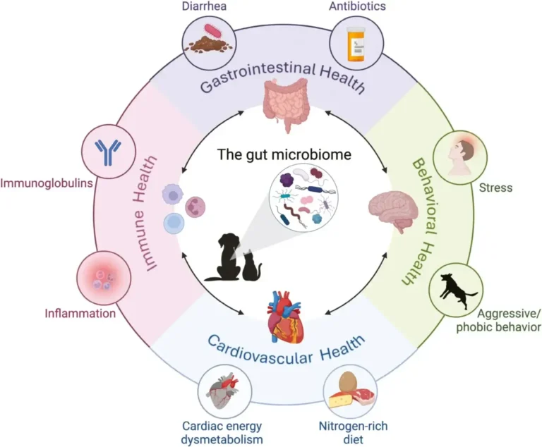 Canine Gut Microbiome Glossary: Key Terms Explained for Dog Owners