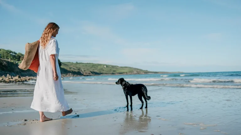 Complete Food Safety Guide for Your Dog While on Holiday