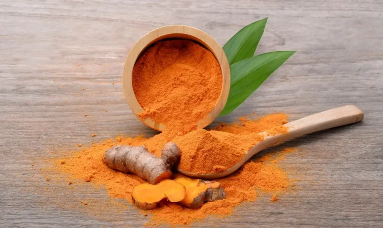 Curcumin or Turmeric for Dogs: Which Benefits Health Most?