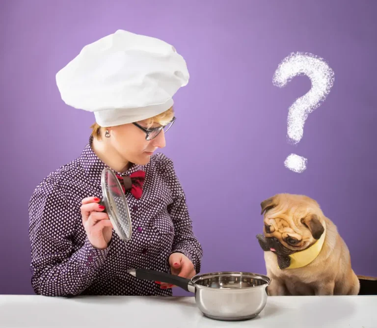 Comida seca vegana para perros: Guía completa para propietarios de perros