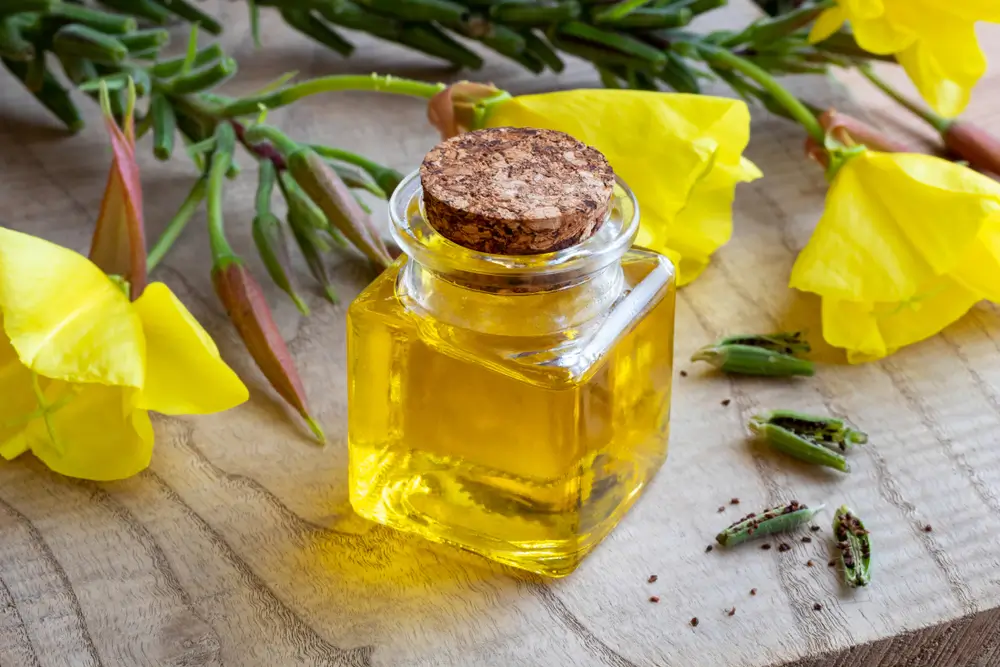 Evening Primrose Oil for Dogs - A Guide to Benefits