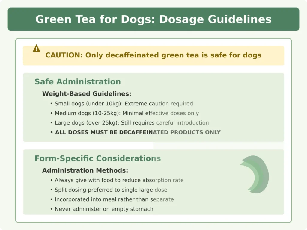 Green Tea Dosage Guidelines for Dogs