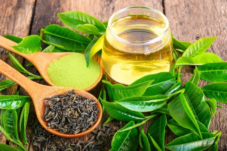 Green Tea for Dogs - Safe or Not?