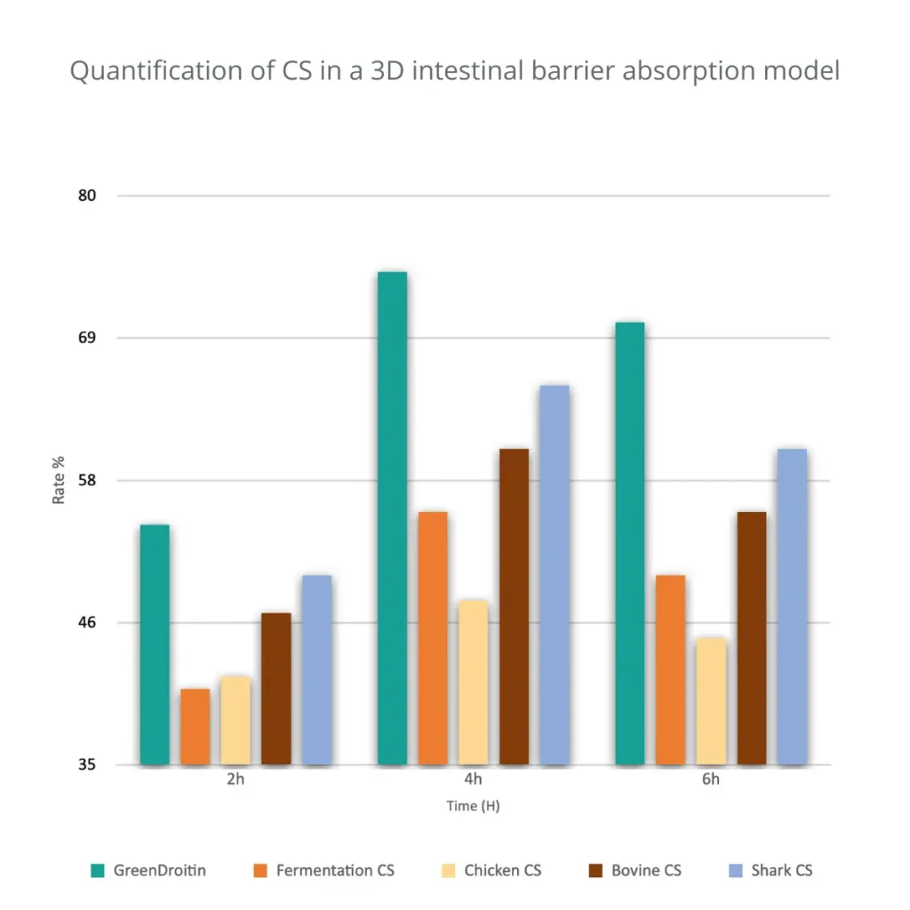 GreenDroitin Plant-based Chondroitin Sulphate Absorption Rates vs Animal-based Chondroitin