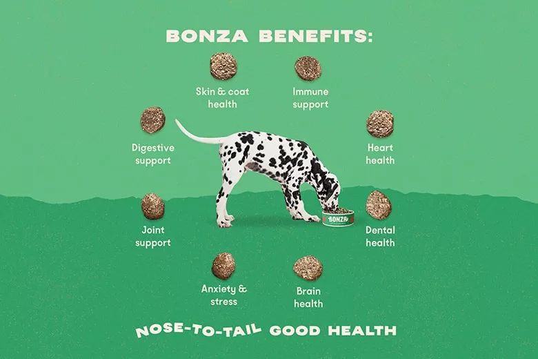 The Healthiest Best Vegan Dog Food