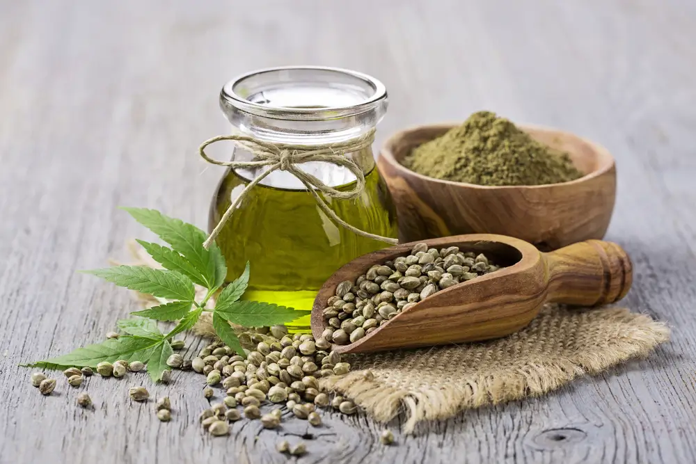 Hemp Seed Oil for Dogs - Guide to Health Benefits