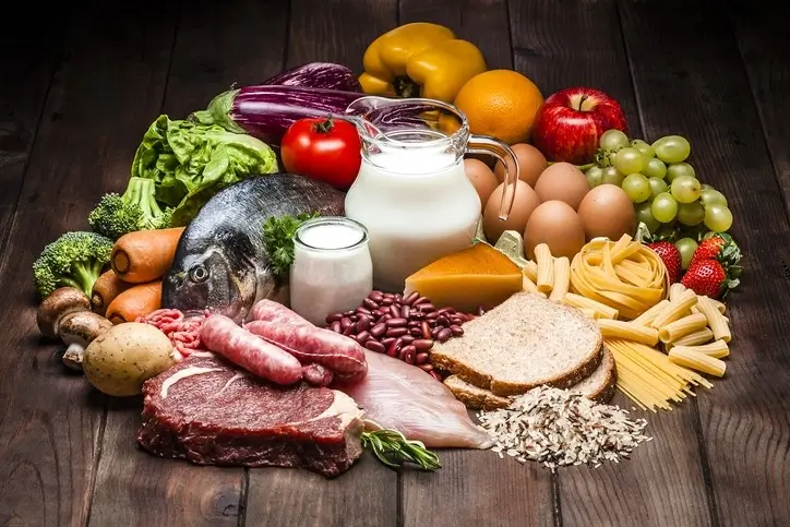 High-Starch or High-Fat Diet: Which Is Better for Dogs’ Metabolism?