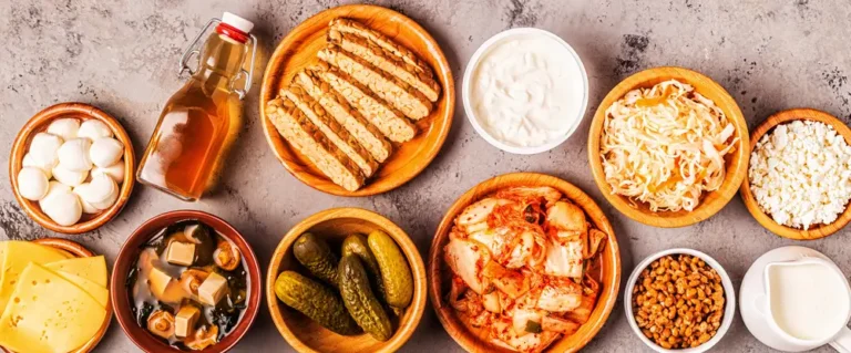 Probióticos caseros para perros - Salud natural
