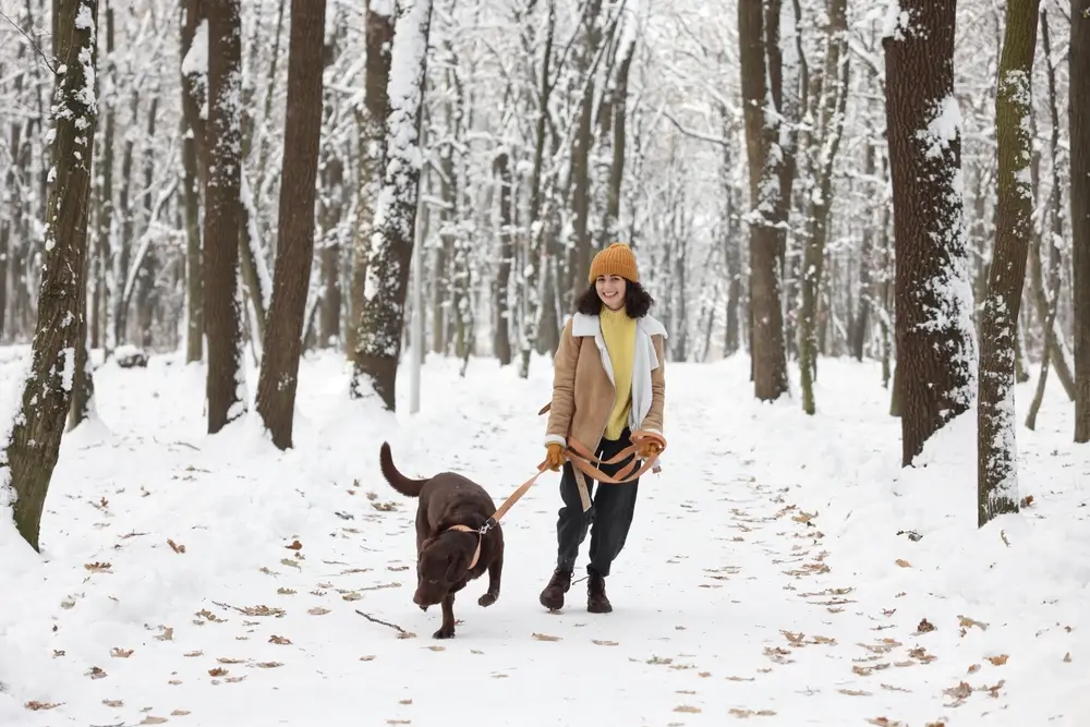How to Create a Healthy Winter Routine for Your Dog