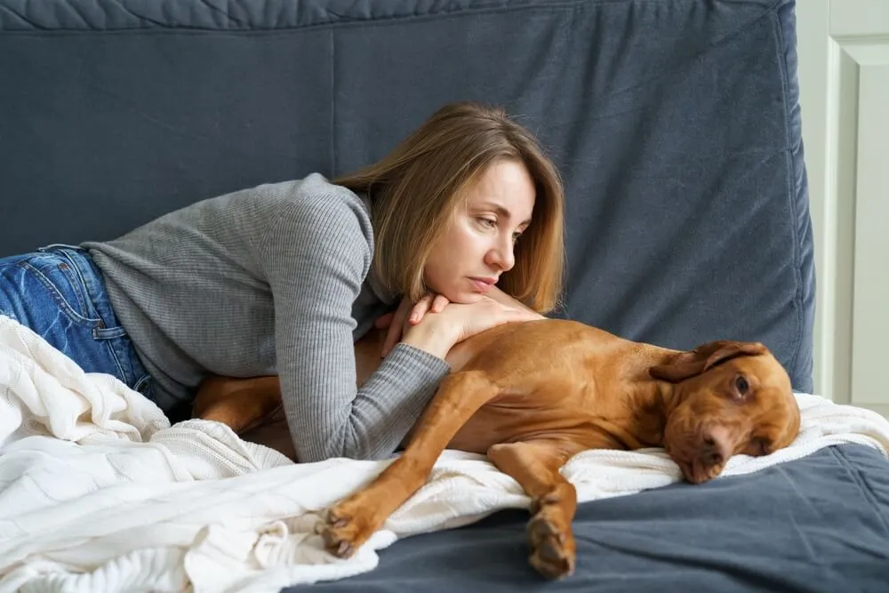 IBD bei Hunden Ursachen, Symptome Behandlungen, FAQ IBD bei Hunden