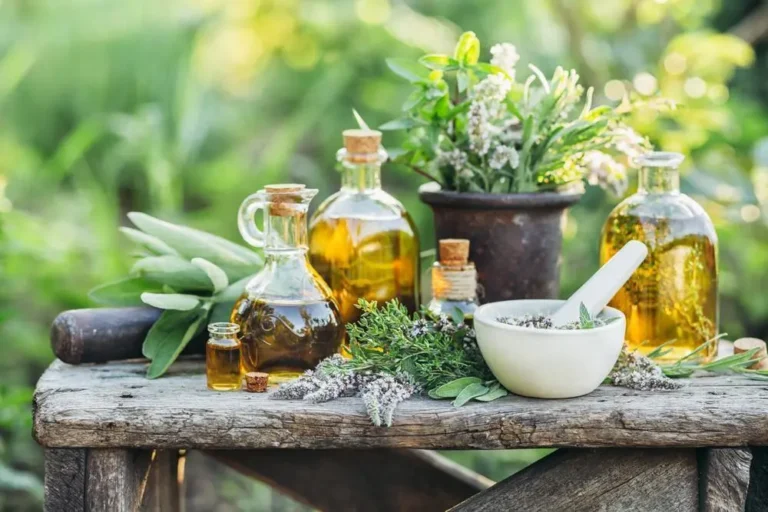 Hierbas medicinales para perros Remedios naturales para problemas y afecciones de salud
