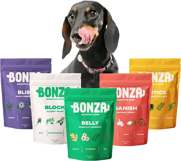 Bonza Supplements Functional Soft Chew Supplements for Dog Health Issues