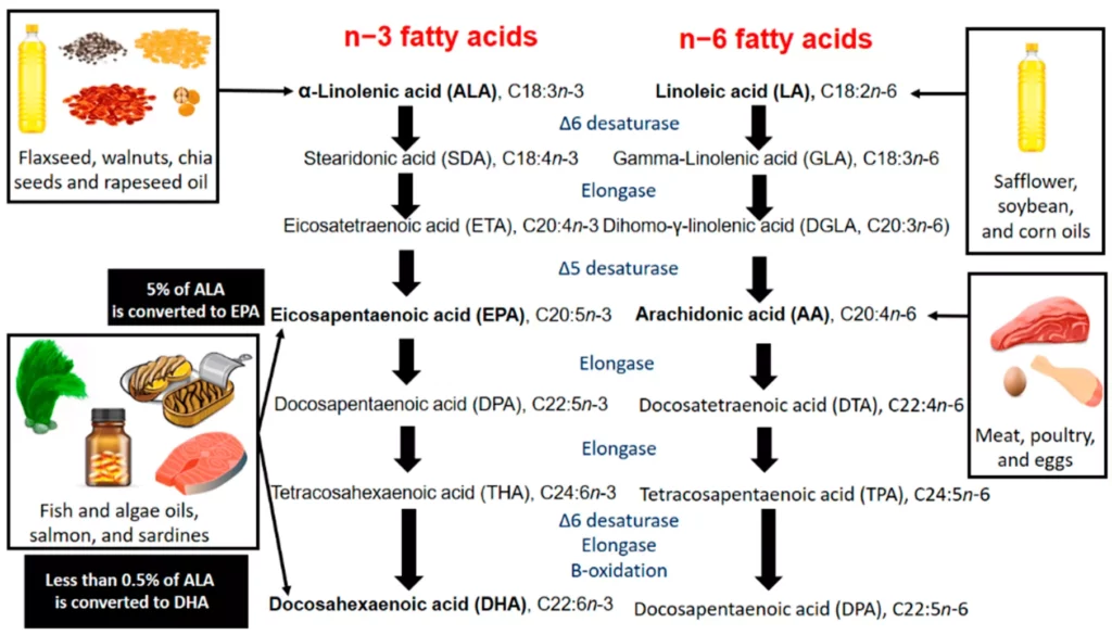 Omega-3 docosapentaenoic acid DPA essential fatty acid important for dog health