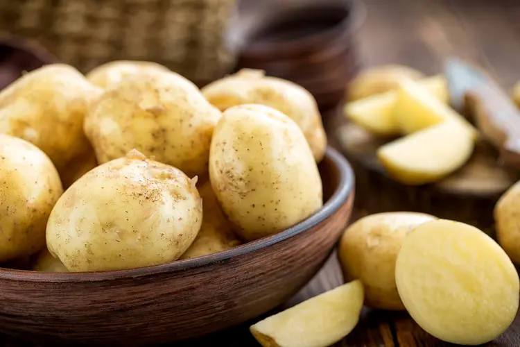 Potato Fibre for Dogs: Gut Health, Prebiotic Benefits & Digestive Support