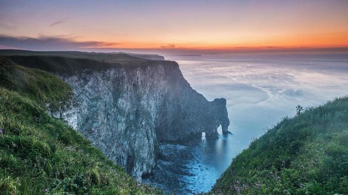 RPSB Bempton Cliffs, Yorkshire Hondenwandelingen