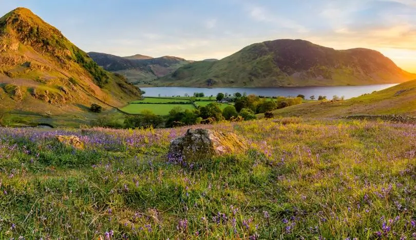 Rannerdale Knotts, Hondenwandelingen in het Lake District