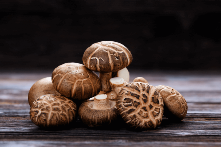 Shiitake-Pilze für Hunde: Unterstützung des Immunsystems, Schutz vor Antioxidantien und Vorteile für den ganzen Körper