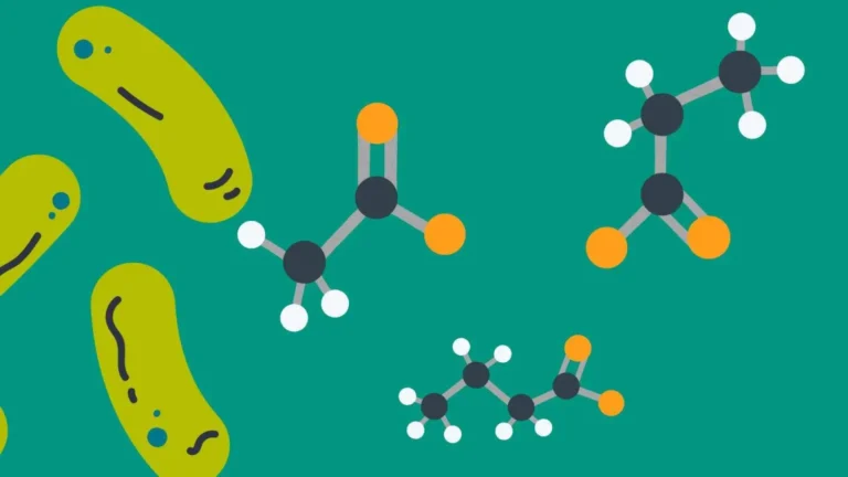 Short-Chain Fatty Acids: The Hidden Powerhouse of Your Dog's Health