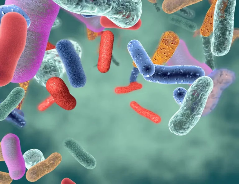 Spore-forming Probiotics for Dogs - Why Calsporin Outperforms Standard Probiotic Strains