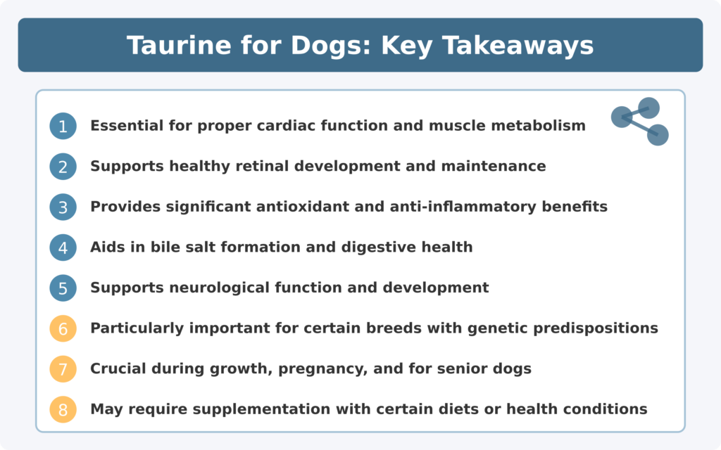 Impactos positivos de la taurina en la salud de los perros Aspectos clave