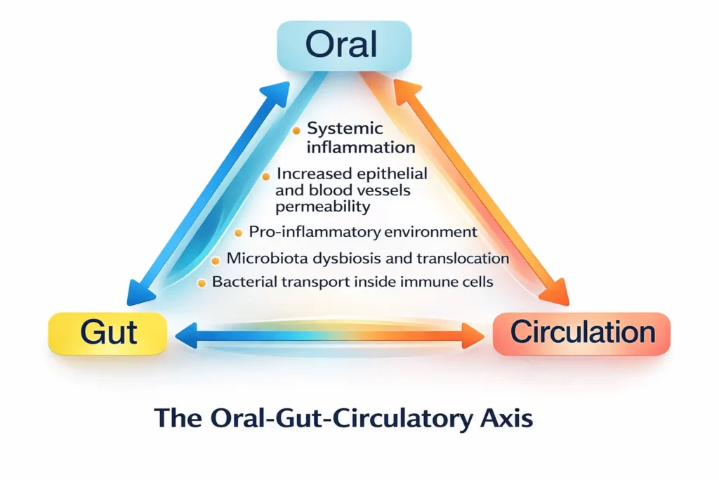 El eje intestino-oral: comunicación bidireccional